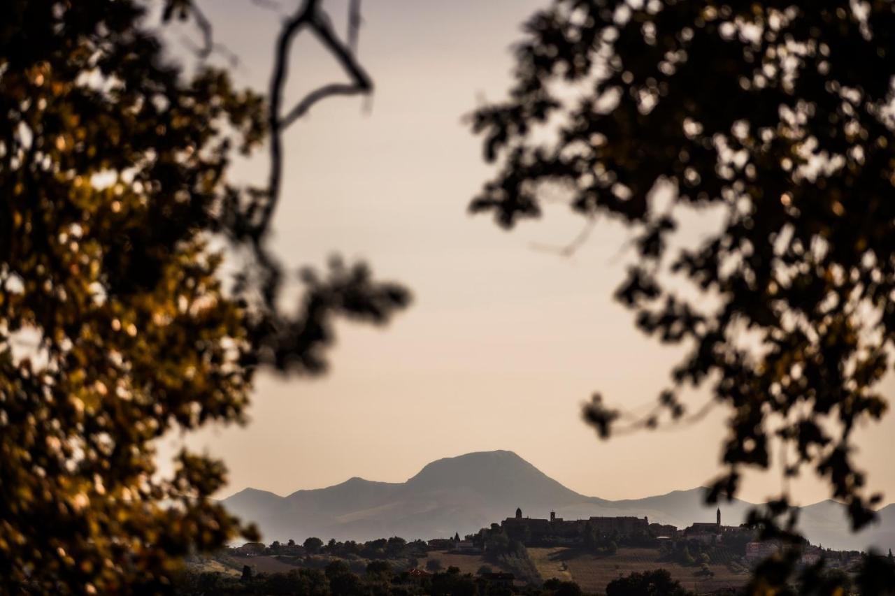 B&B Al Chicco d'Uva Morro dʼAlba Esterno foto