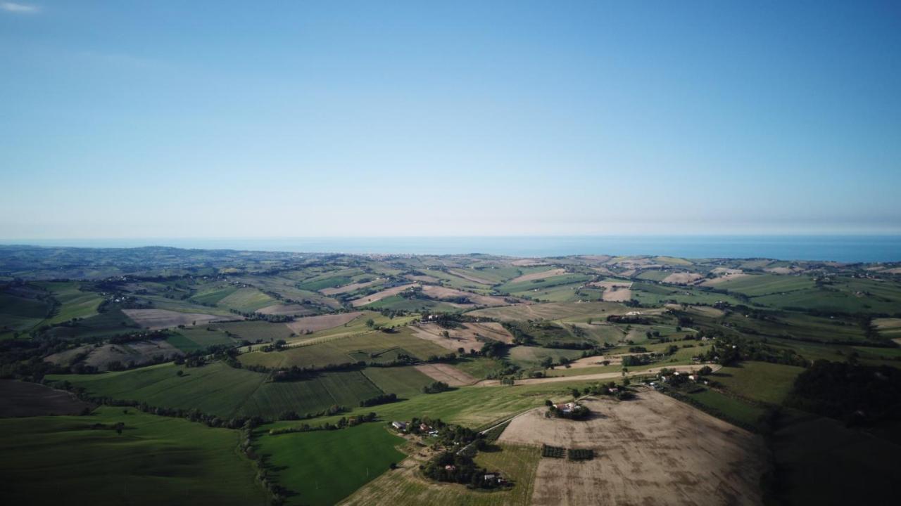 B&B Al Chicco d'Uva Morro dʼAlba Esterno foto