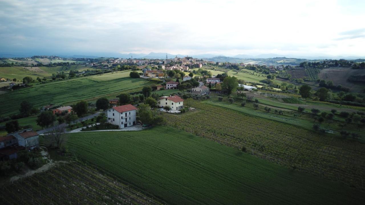 B&B Al Chicco d'Uva Morro dʼAlba Esterno foto